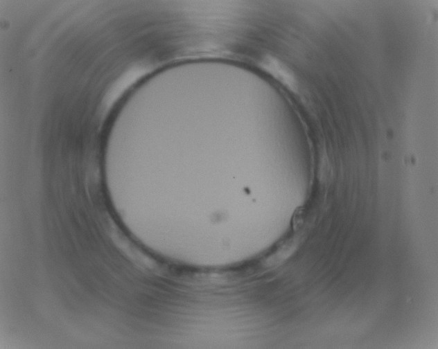 X0000077351458200611101602