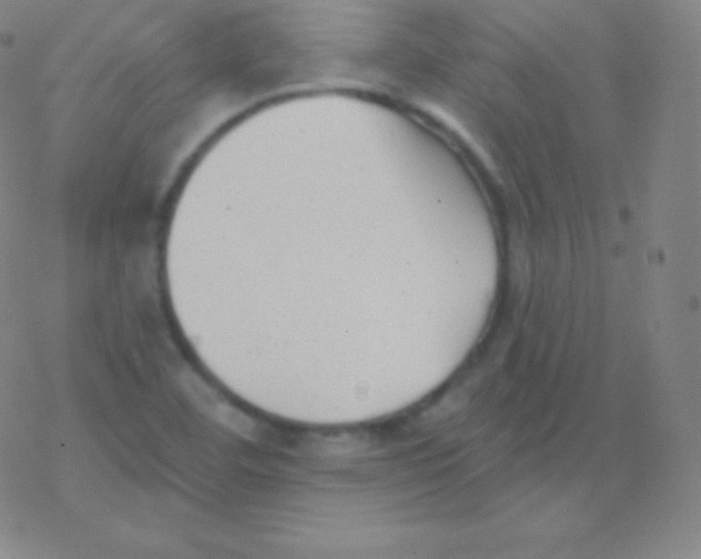 X0000077351460200611101602