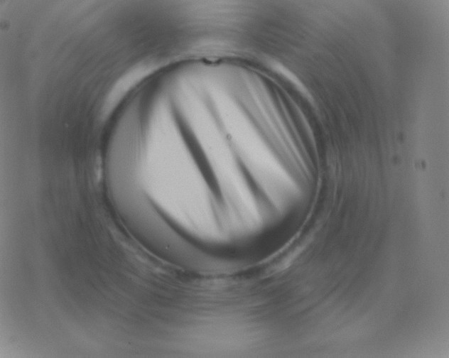 X0000077351461200611101602