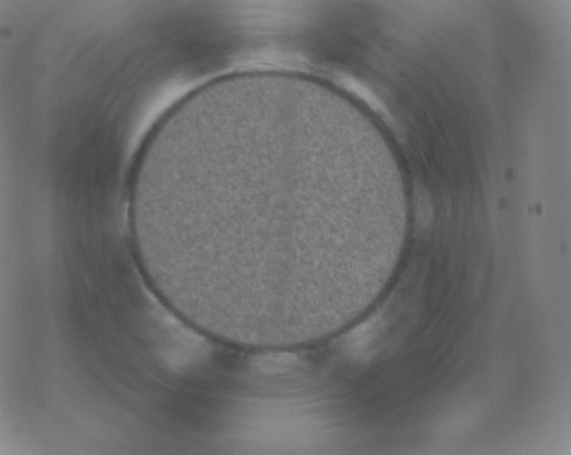 X0000077351462200611101602