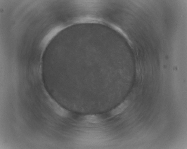 X0000077351463200611101602