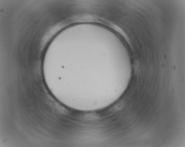 X0000077351464200611101602