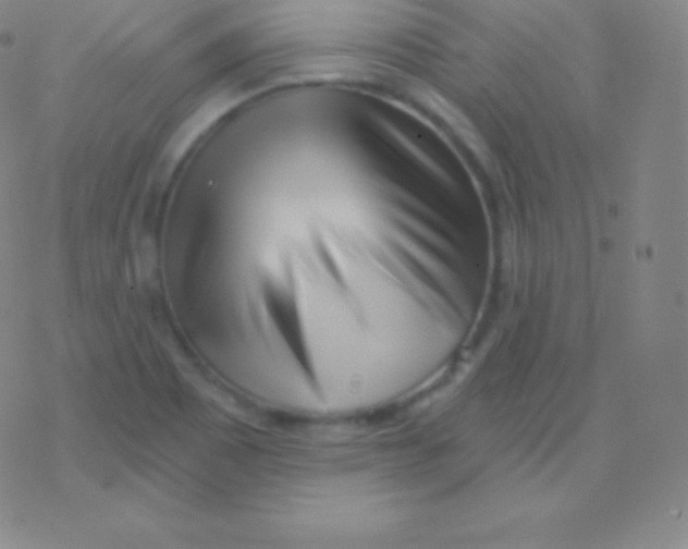 X0000077351465200611101602