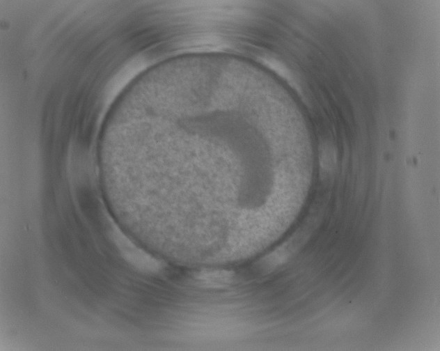 X0000077351466200611101602