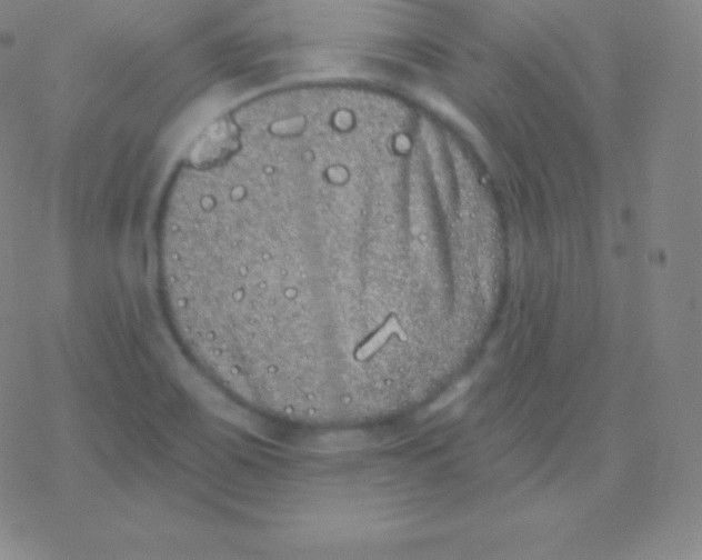 X0000077351467200611101601