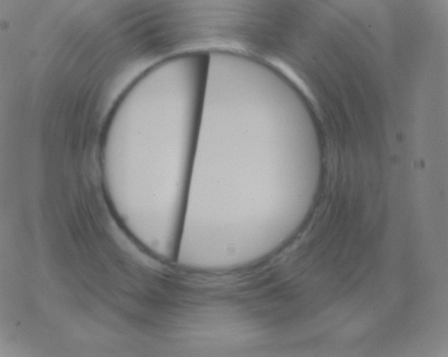 X0000077351468200611101601