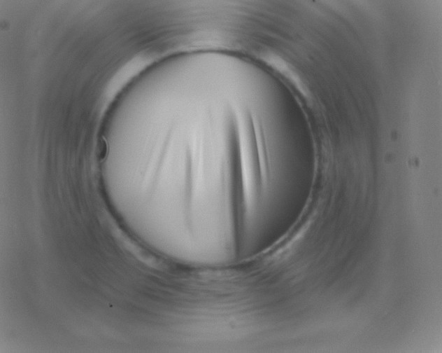 X0000077351469200611101601