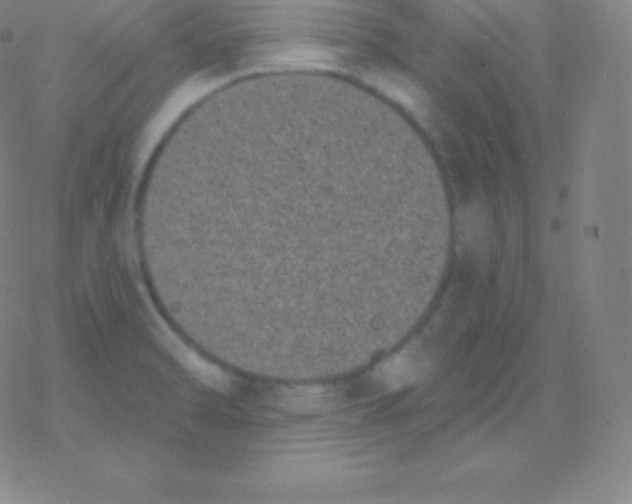 X0000077351470200611101601