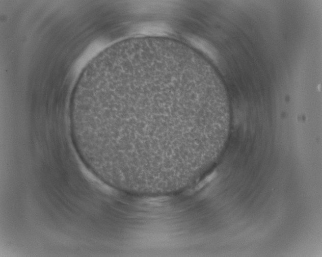 X0000077351471200611101601