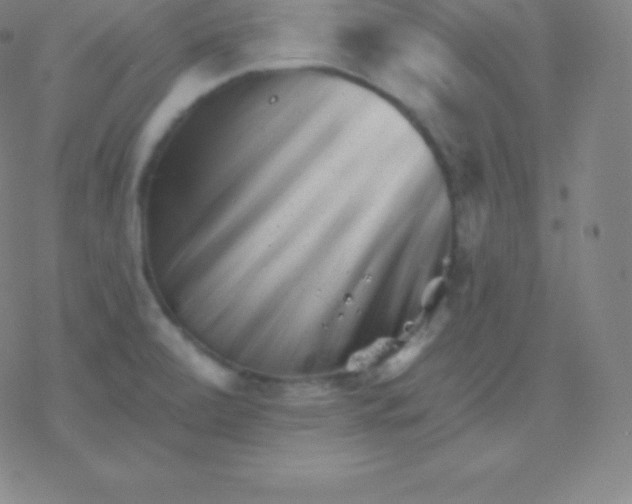 X0000077351472200611101601