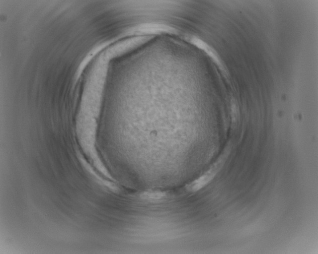 X0000077351473200611101601