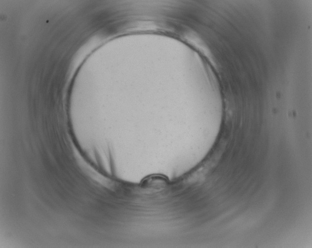 X0000077351475200611101601