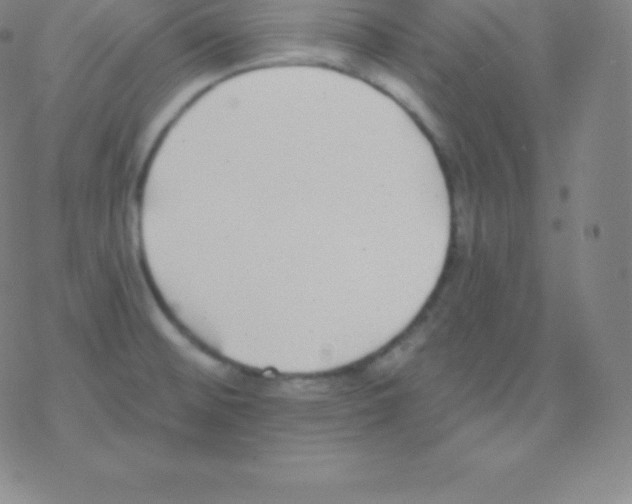 X0000077351476200611101601