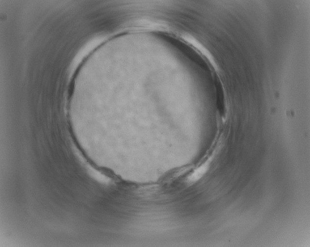 X0000077351477200611101601