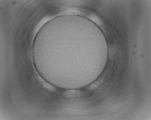 X0000077351478200611101601