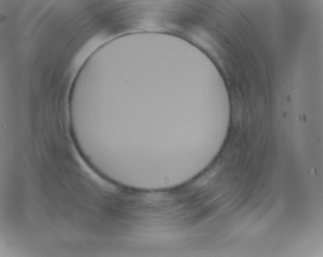 X0000077351479200611101601