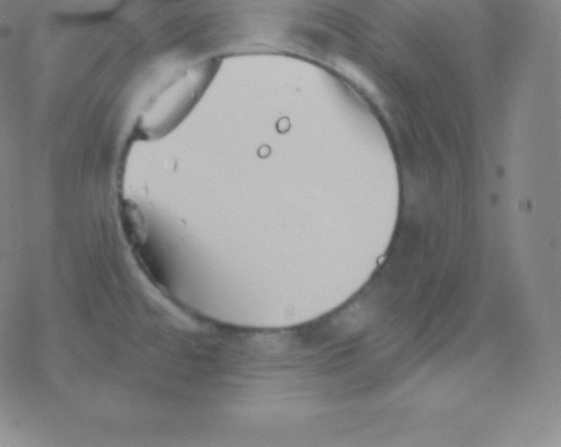 X0000077351480200611101601