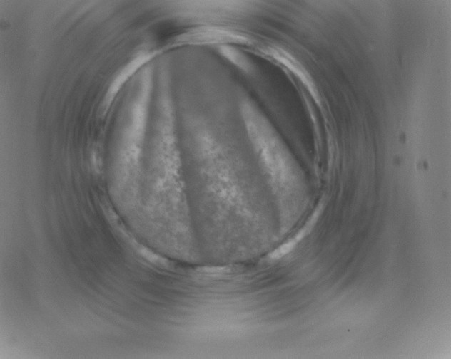 X0000077351481200611101601