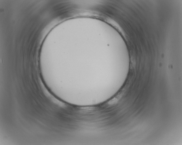 X0000077351483200611101601