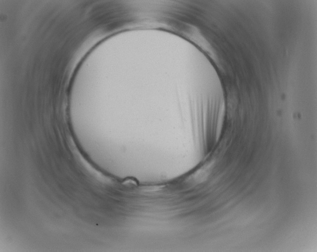 X0000077351484200611101601