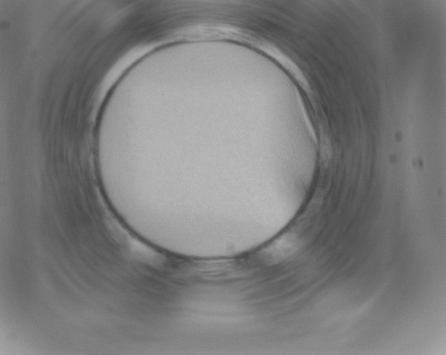 X0000077351486200611101601