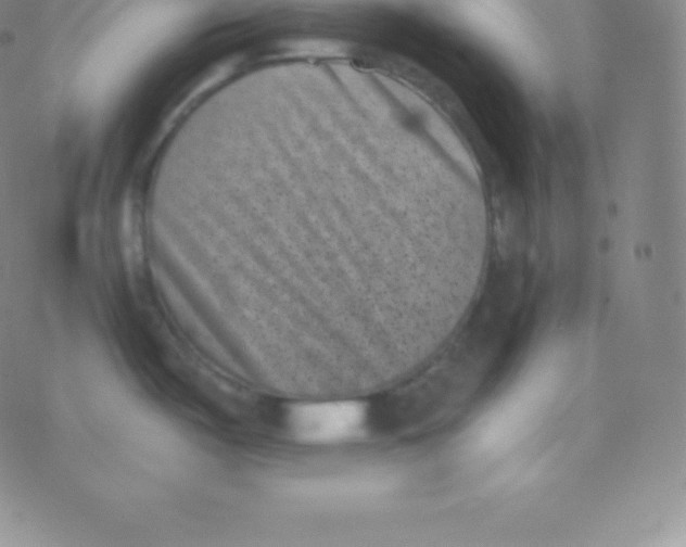 X0000077351487200611101601