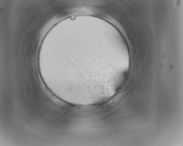 X0000077351488200611101601