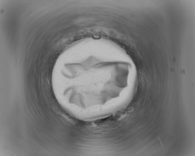 X0000077351489200611101600