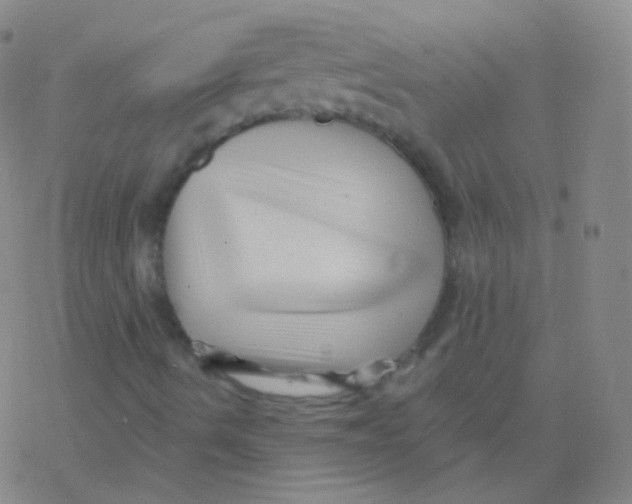 X0000077351490200611101600