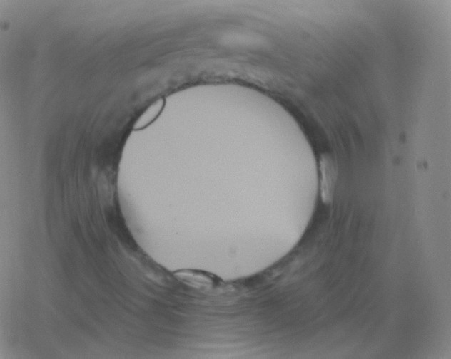 X0000077351491200611101600