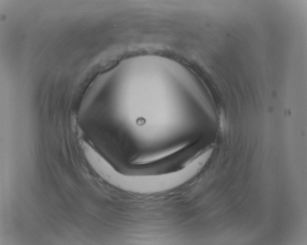 X0000077351492200611101600