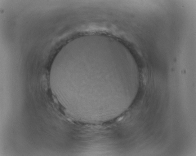 X0000077351493200611101600