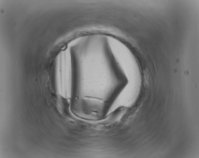 X0000077351494200611101600