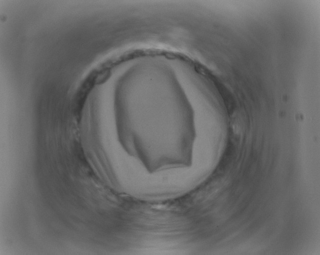 X0000077351495200611101600