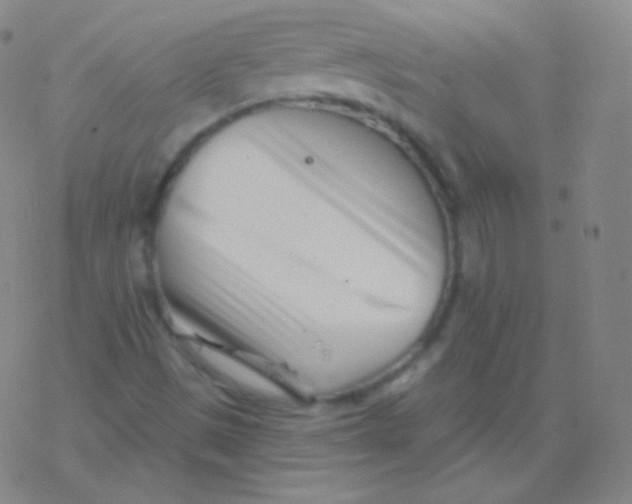 X0000077351497200611101600