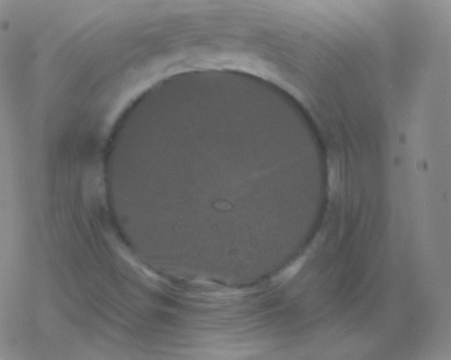 X0000077351498200611101601