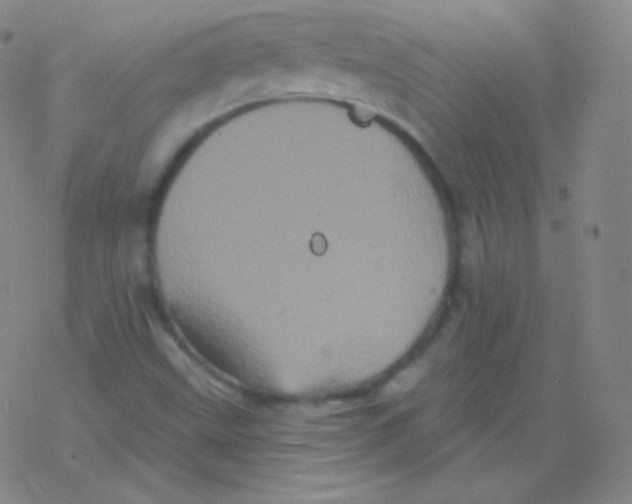 X0000077351499200611101601