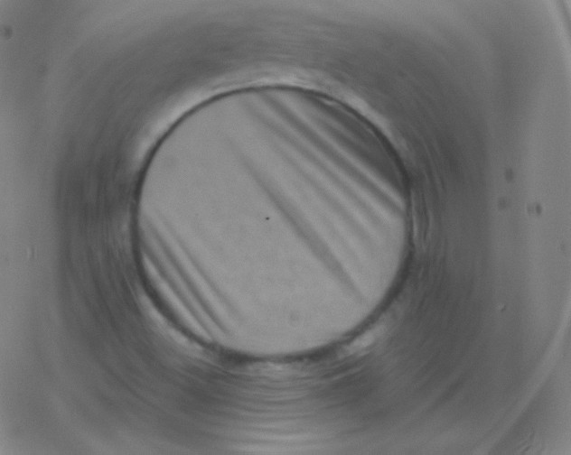 X0000077351500200611101601