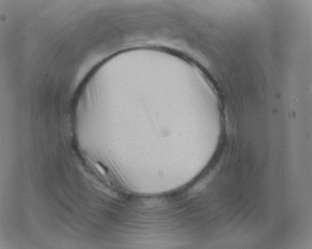 X0000077351501200611101601