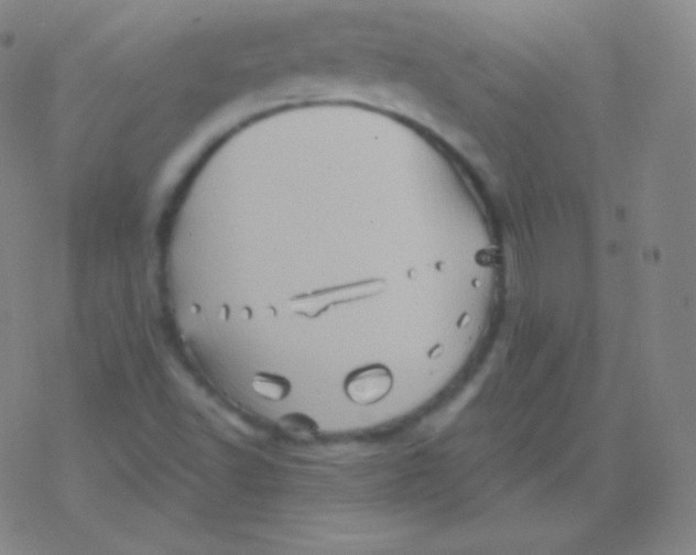 X0000077351502200611101601