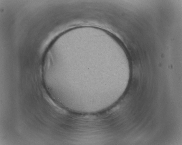 X0000077351503200611101601