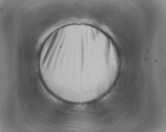 X0000077351504200611101601