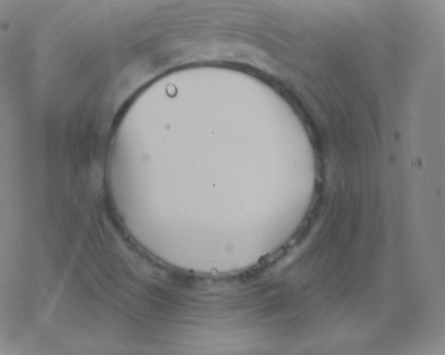 X0000077351505200611101601