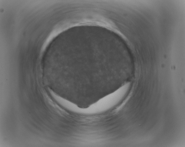 X0000077351506200611101601