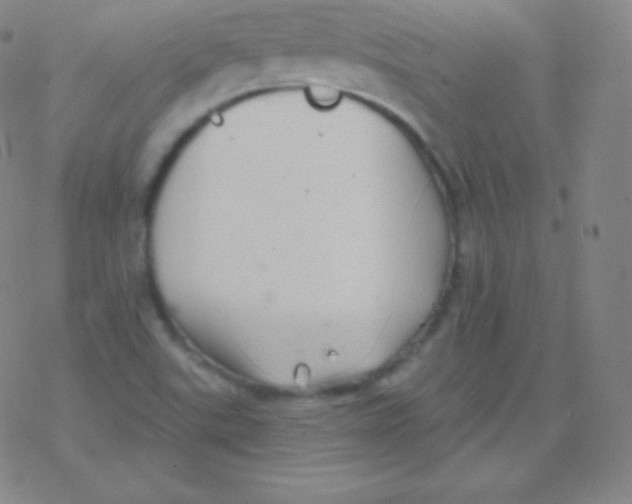 X0000077351507200611101601