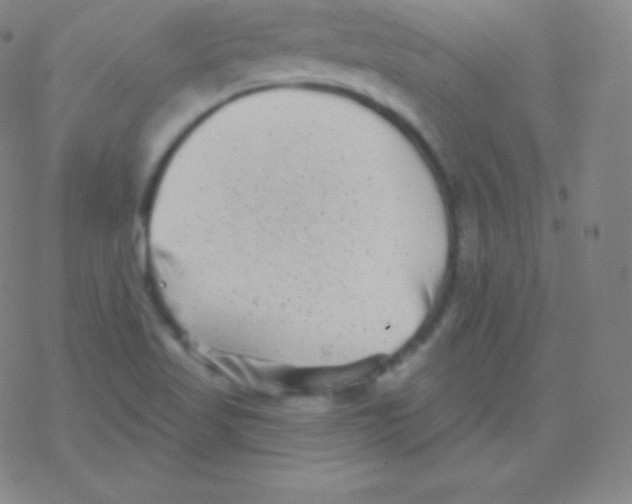 X0000077351509200611101601