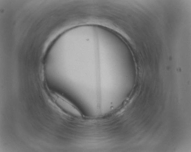 X0000077351510200611101601