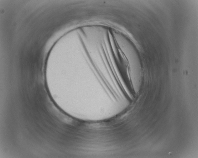 X0000077351512200611101601