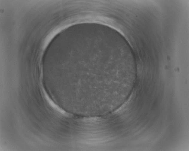 X0000077351515200611101601