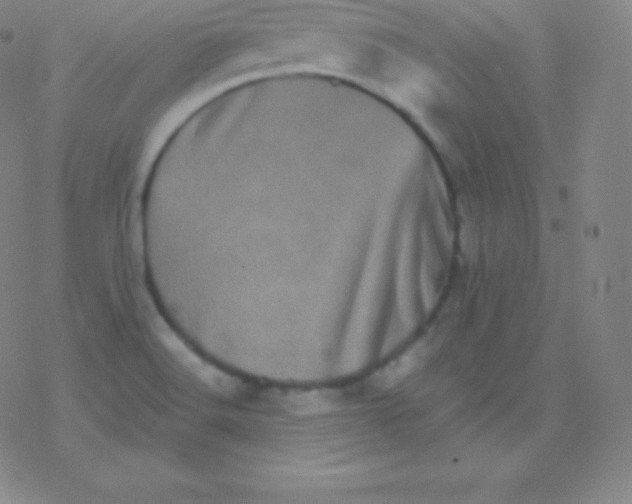 X0000077351516200611101601